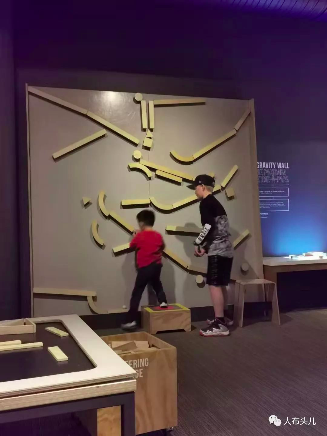 新西兰16天亲子自驾游（三）: 南岛第一站·但尼丁（下）