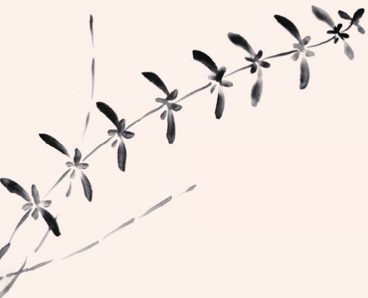 水草的4种画法,让水墨画创作更上一层楼