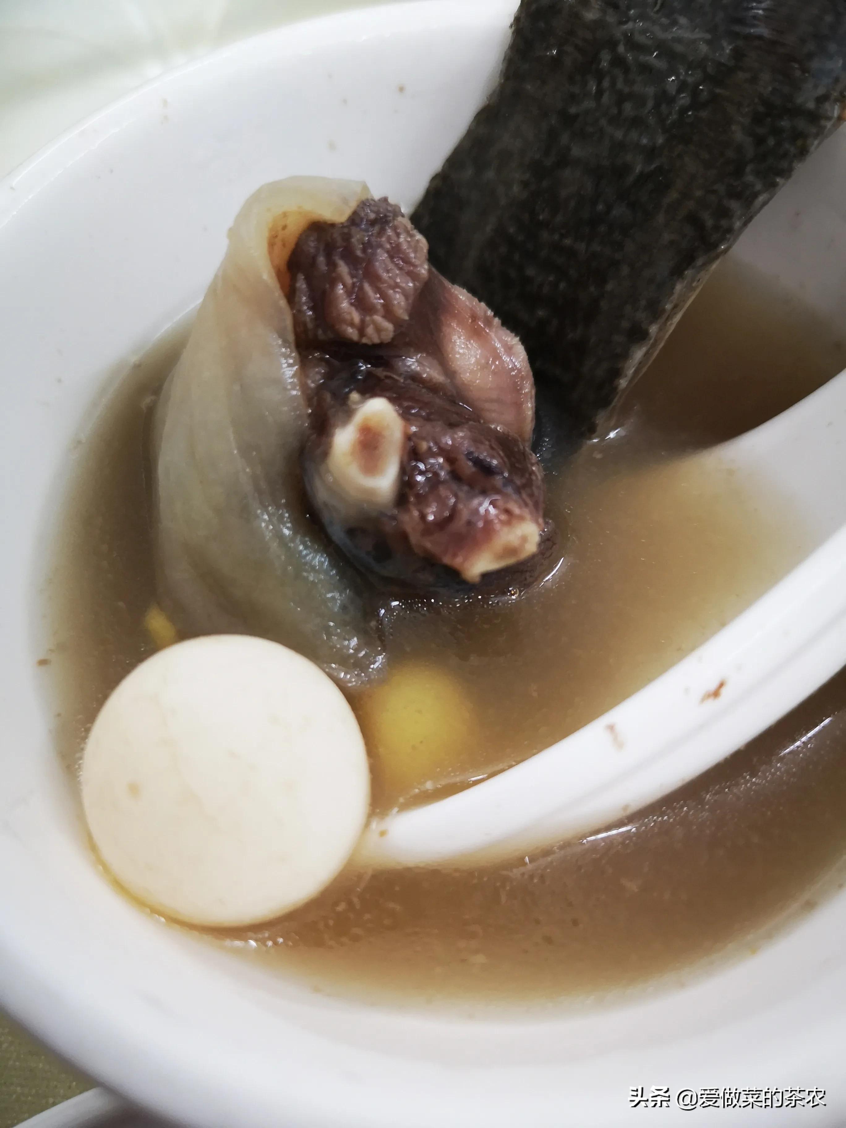 甲鱼身上哪里最好吃？甲鱼应该怎样处理？怎样去除甲鱼的腥味？