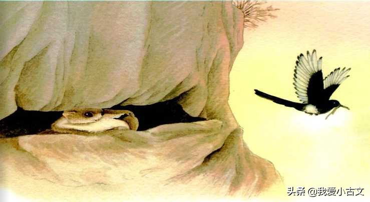 《寒号鸟》文言版(部编版二年级寒号鸟教案)