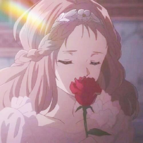 头像-壁纸-(红玫瑰)我爱你,每一天