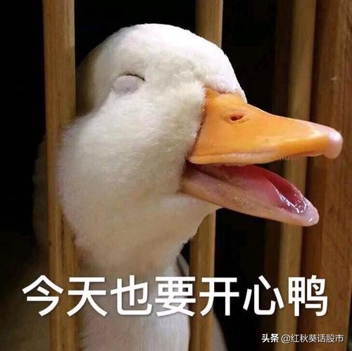 2021医保谈判拉开帷幕！医药股开始上涨