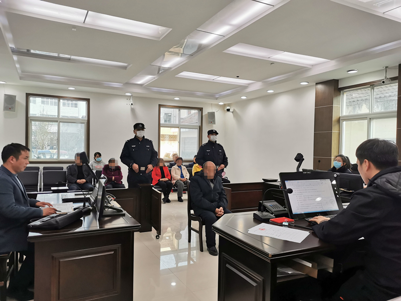 汉中市南郑区人民法院巡回审理一起滥伐林木案