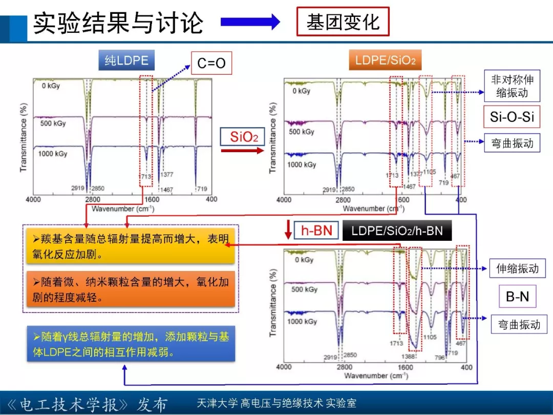 天津大学高宇副教授：核辐射环境下聚合物绝缘材料的研究新成果