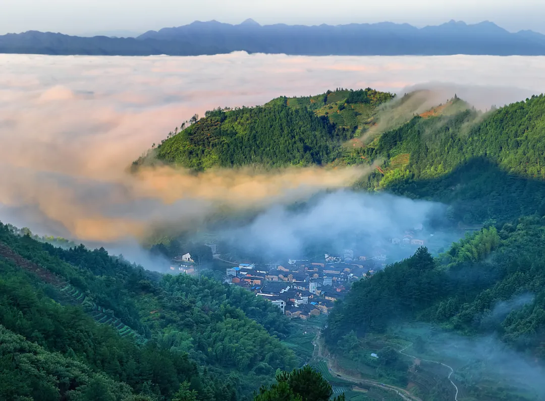 浙南秘境里“江南布达拉宫”式野奢山居民宿丨丽水松阳揽树山房