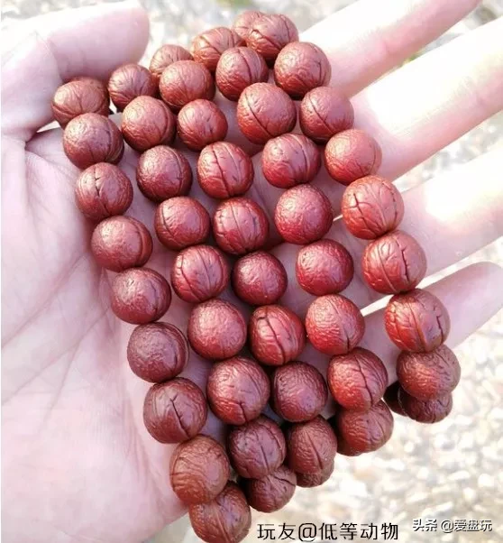 能在山上“白嫖”的10种手串,包浆超美
