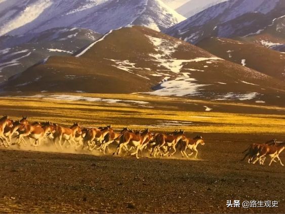 甘肃此地形同两扇门，走过去，让人会想到汉武帝领着卫青和霍去病