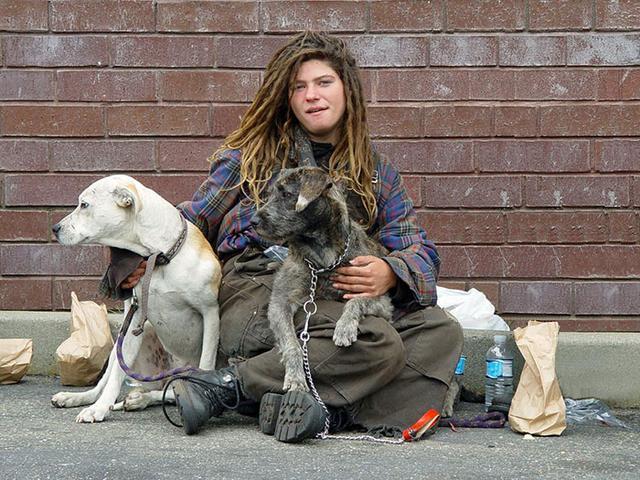 中华田园犬智商与忠诚度排名：揭秘最聪明最忠诚的本土犬种