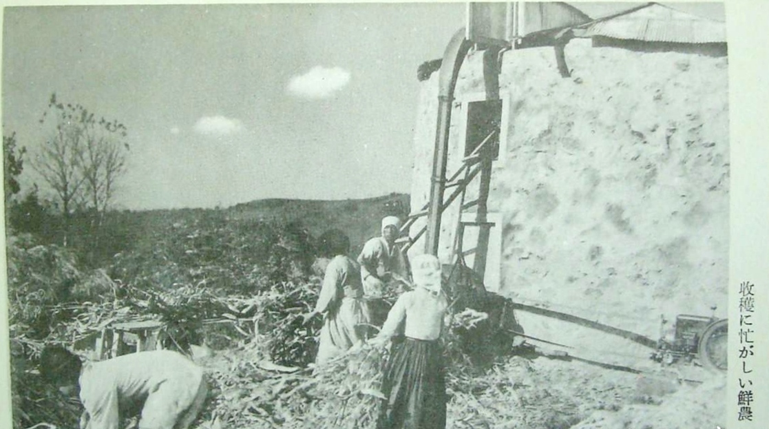 伪满文件披露日本人如何看待汉族、满族、蒙古族和朝鲜族