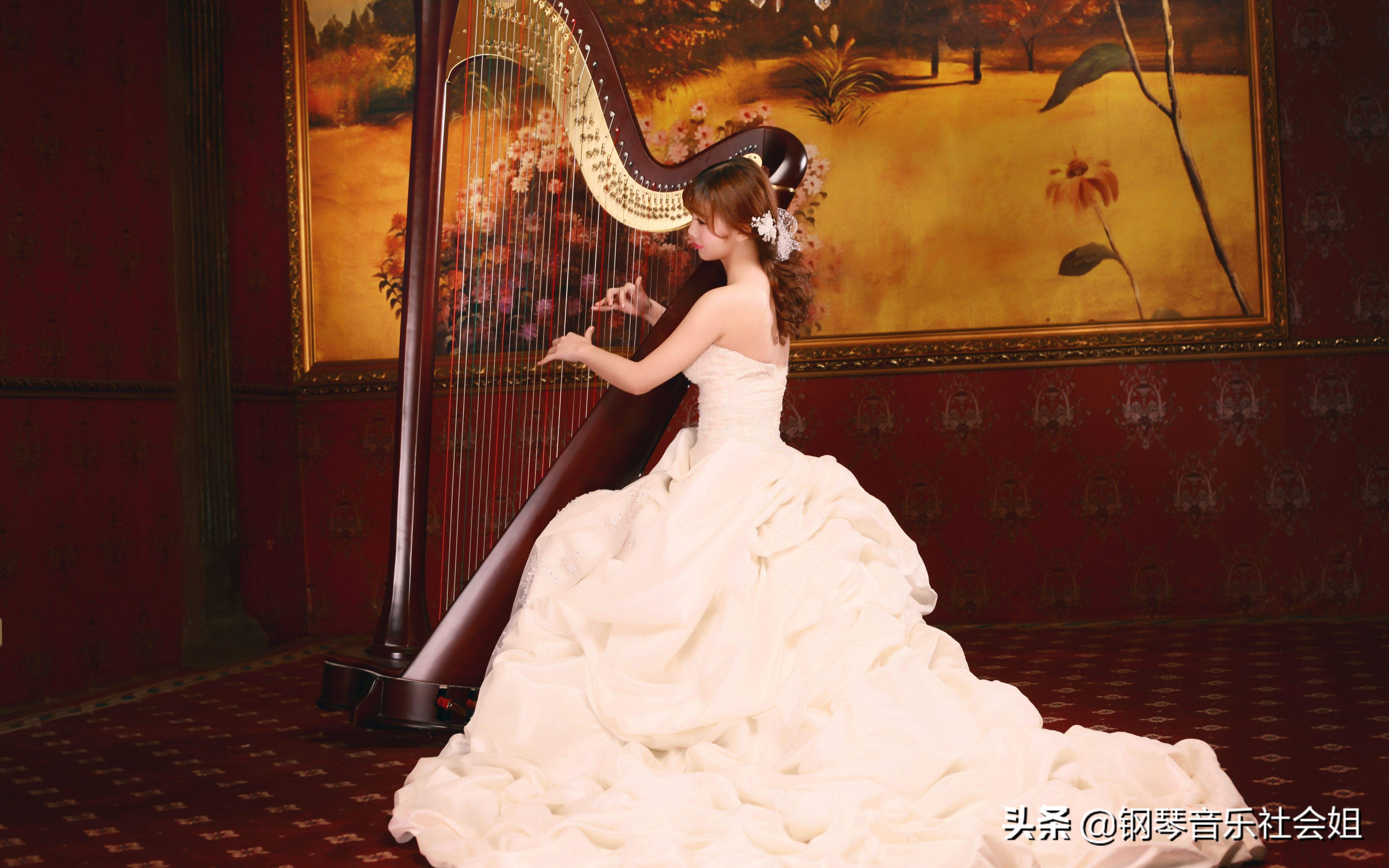 冷门乐器排行：两根弦的小提琴，无接触即可演奏的乐器你见过几个