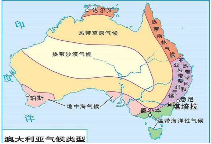 澳洲的骆驼是怎么来的？它泛滥的后果是什么？为何要开飞机围剿？
