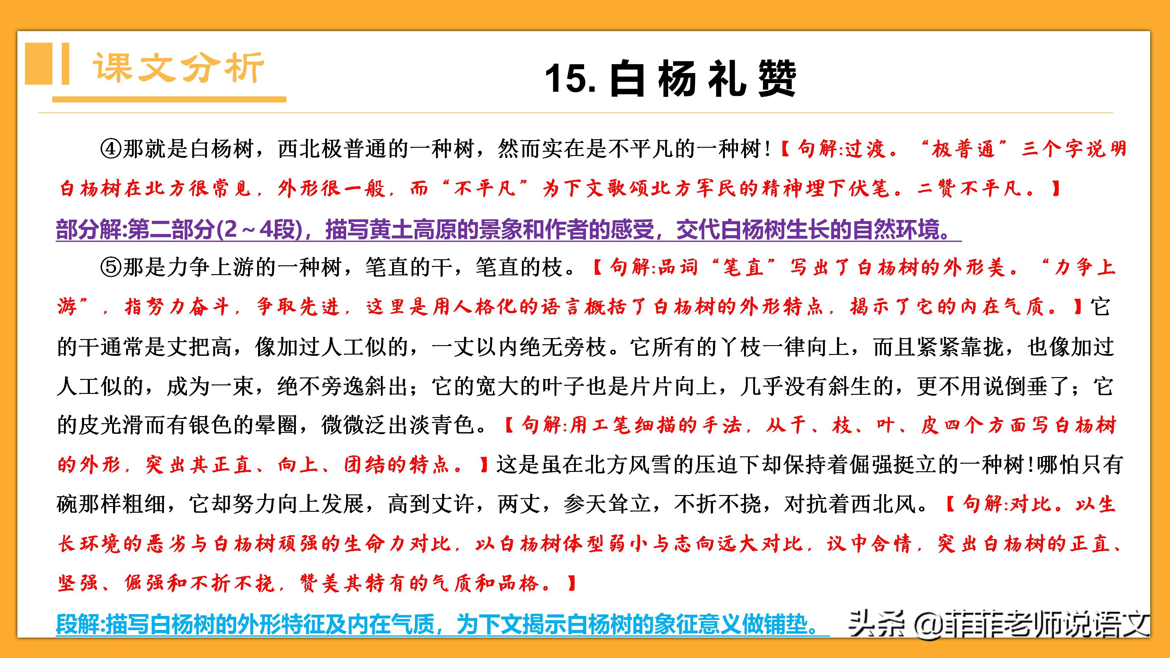 八年级语文上册第15课《白杨礼赞》详细笔记。预习复习可用