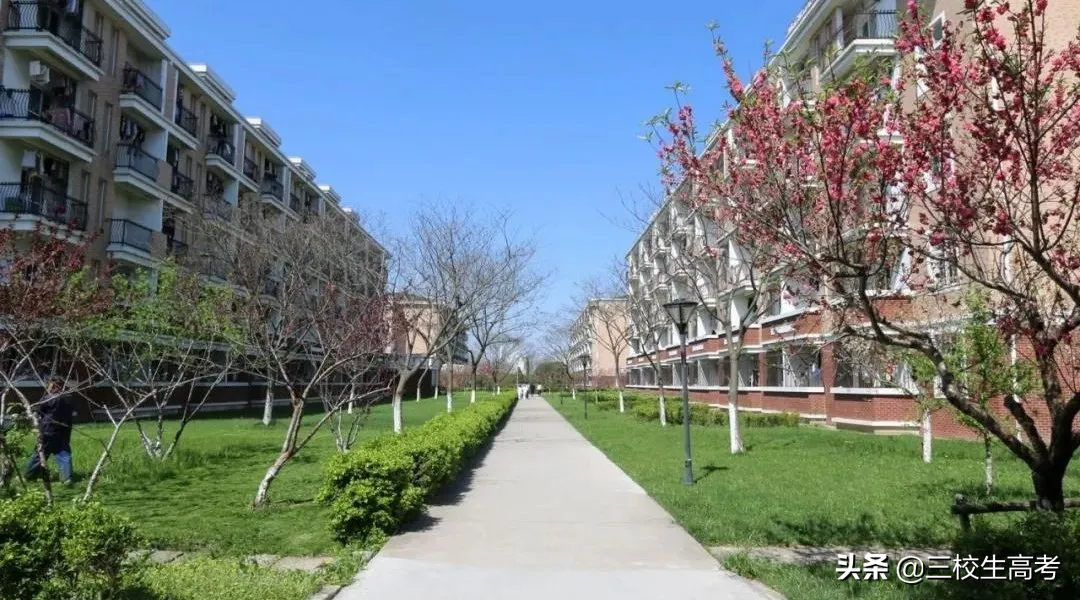 报考上海立达学院专升本，竟然还有免费游学大礼包