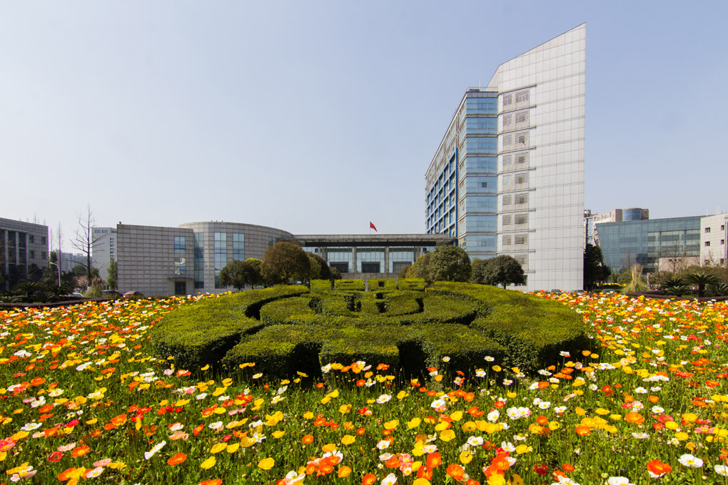 “双一流”四川农业大学艺考政策解读，美术生多少分可以录取？