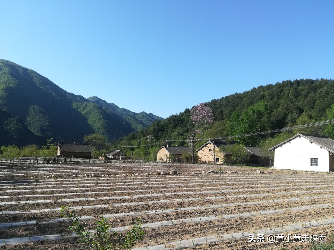 探秘东秦岭，原来从西安到商洛还有这样一条密道，一路都是风景