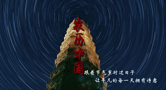 石榴花什么時候開,石榴花什么時候開花