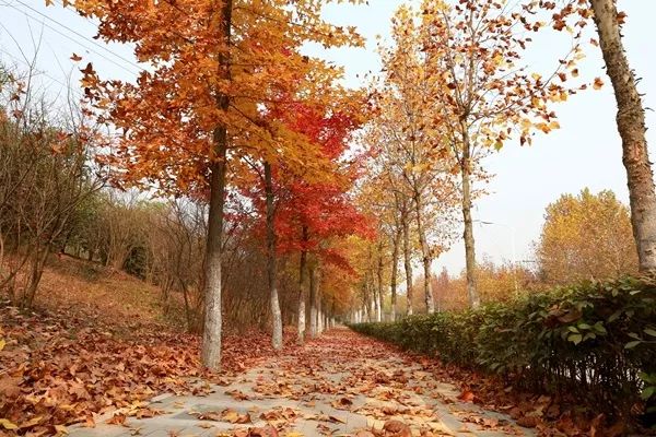 早读江淮丨每天三分钟，一览江淮事！（2018.10.16）