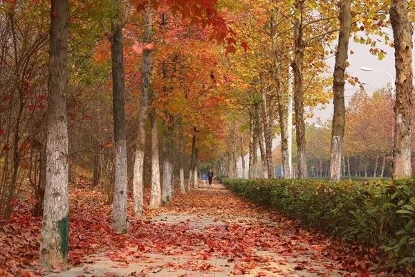 早读江淮丨每天三分钟，一览江淮事！（2018.10.16）