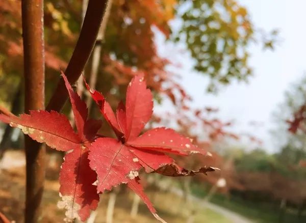 早读江淮丨每天三分钟，一览江淮事！（2018.10.16）