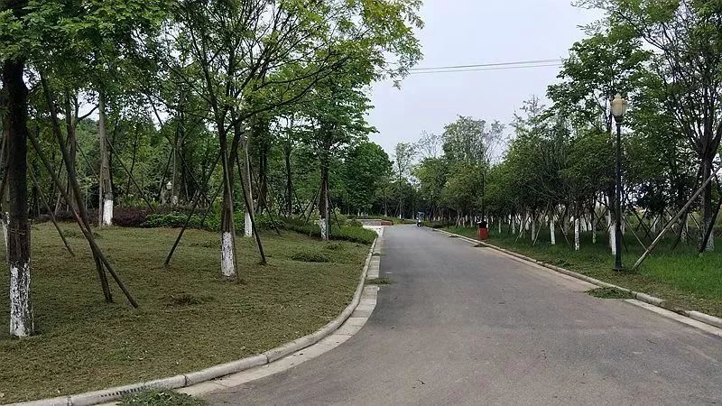 最新规划！新建大学城、南高新校区…南充这个片区未来大有可为！