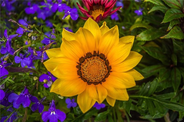 人生苦短，何必自寻烦恼，折磨自已，往后余生，快乐至上