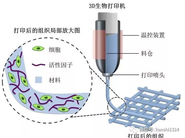 肖磊：资本主义的终结者可能是区块链技术