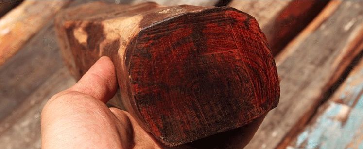 一木万金：最贵的5种木头排行