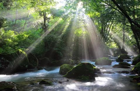 日语里这些充满意境的词，到底有多美？