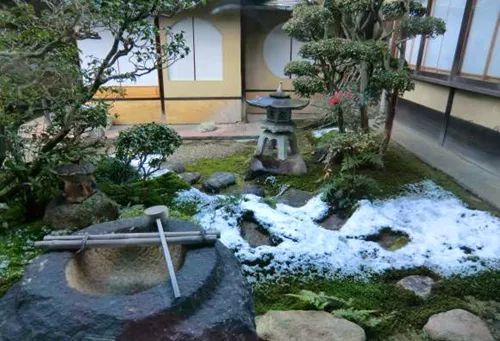 日语里这些充满意境的词，到底有多美？