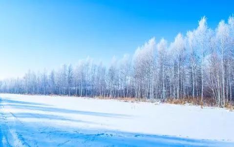 日语里这些充满意境的词，到底有多美？