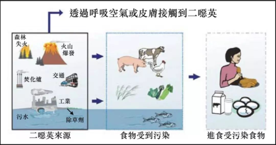 人体二恶英超标怎么样排解(二噁英超标，还能愉快地吃大闸蟹吗？)