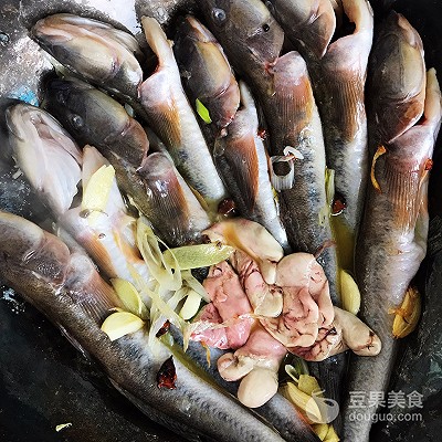 海鲶鱼怎么做好吃（分享酱焖海鲶鱼的做法）