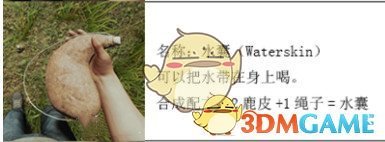 《森林》迷失森林生存指南之——如何找到水