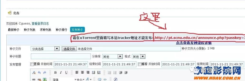 有哪些pt站下载nba(家庭影院高清爱好者玩PT之uTorrent做种、发种教程)