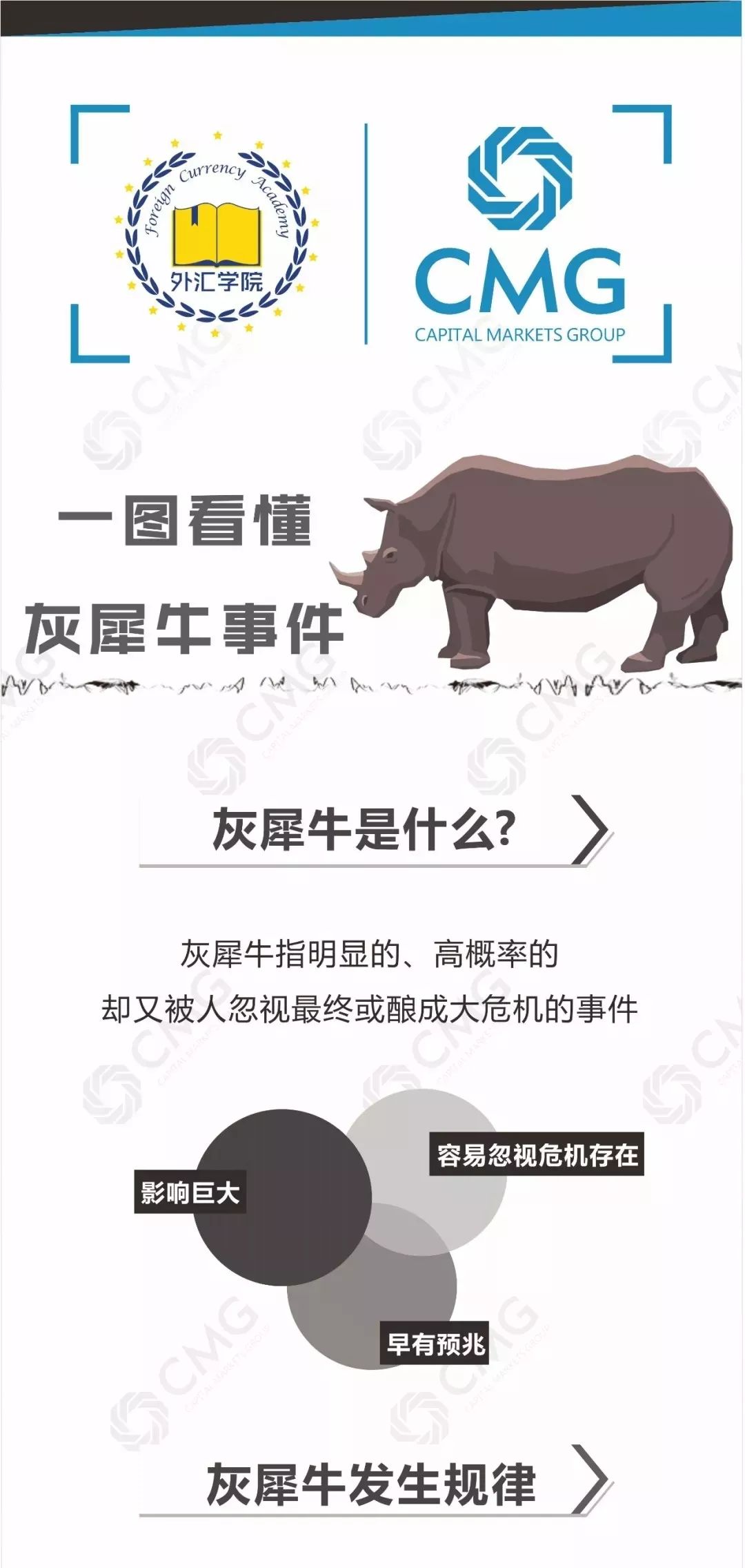 一图读懂什么是灰犀牛事件？