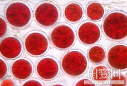年会合影大赛不能输，快来get这些肌肤赋能妙招