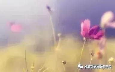 新任公务员培训心得体会