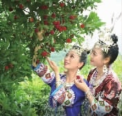 改革開放40年·懷化印記｜懷化影響力——農(nóng)業(yè)品牌