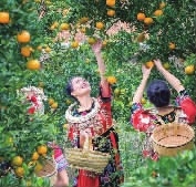 改革開放40年·懷化印記｜懷化影響力——農(nóng)業(yè)品牌