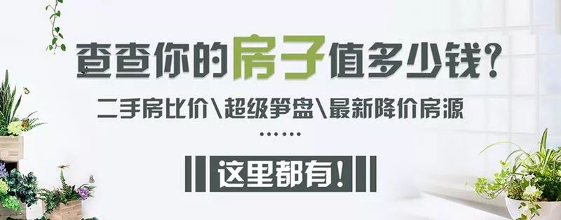 哈尔滨网上选车牌号,哈尔滨网上选车牌号系统平台