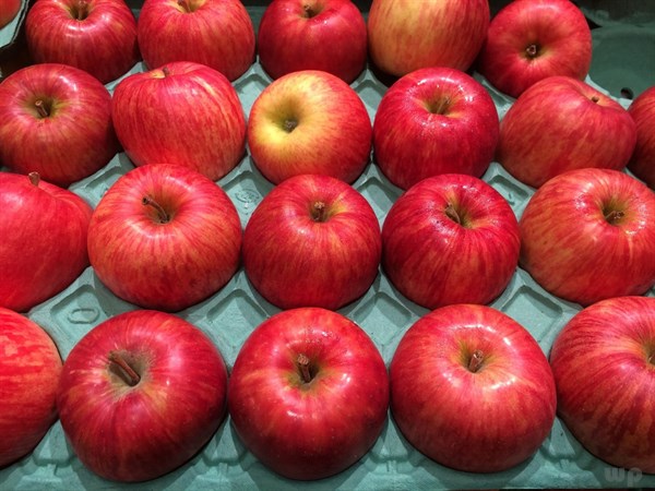 吃苹果可以减肥吗，下午银苹果，晚上毒苹果？减肥能吃苹果吗？