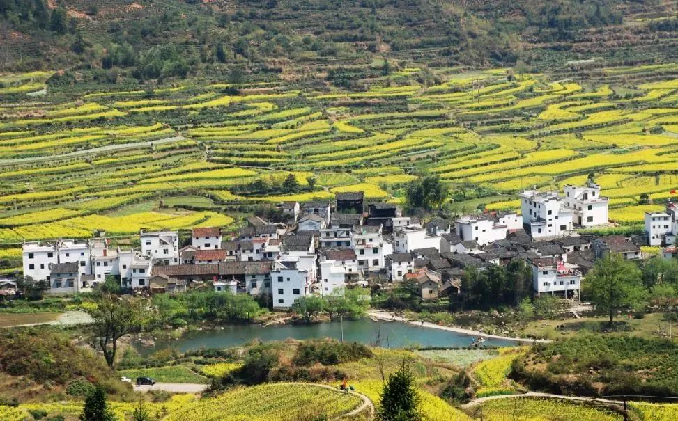 2019已有12省公布单招时间表（需要校考的院校）