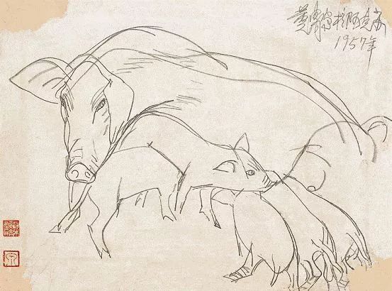 齐白石、徐悲鸿、黄胄、黄永玉、韩美林画的猪，别有意趣！