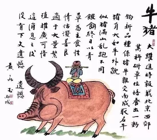 齐白石、徐悲鸿、黄胄、黄永玉、韩美林画的猪，别有意趣！