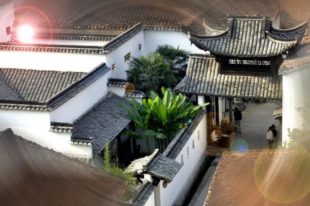 路线定了！205国道改建2个涉衢项目获省批复！未来将变成……