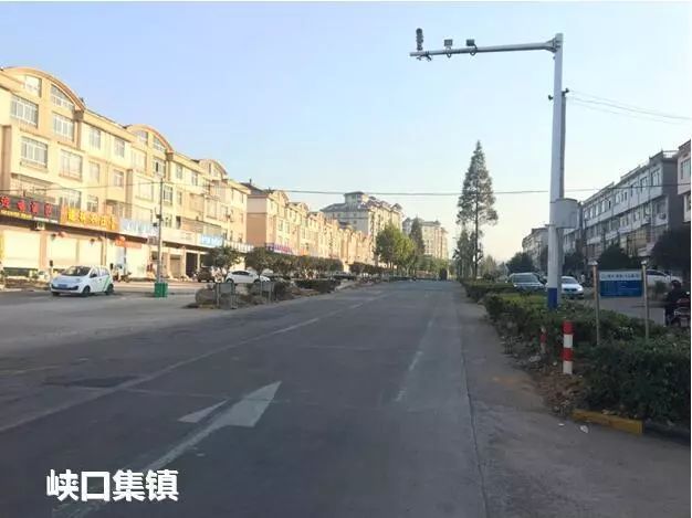 路线定了！205国道改建2个涉衢项目获省批复！未来将变成……