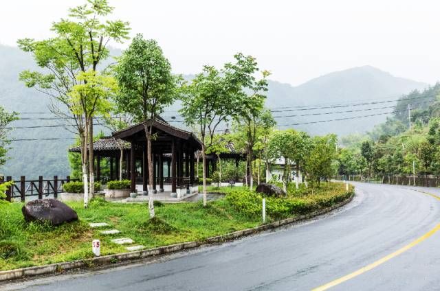 路线定了！205国道改建2个涉衢项目获省批复！未来将变成……
