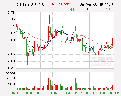 哈森股份2018年年度业绩预亏