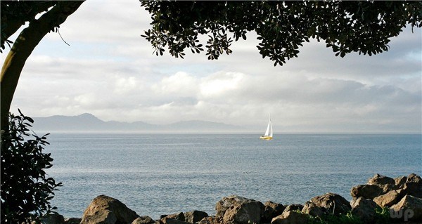 人生就像蒲公英，愿所有汗水都有收获，所有努力都不被辜负 早安