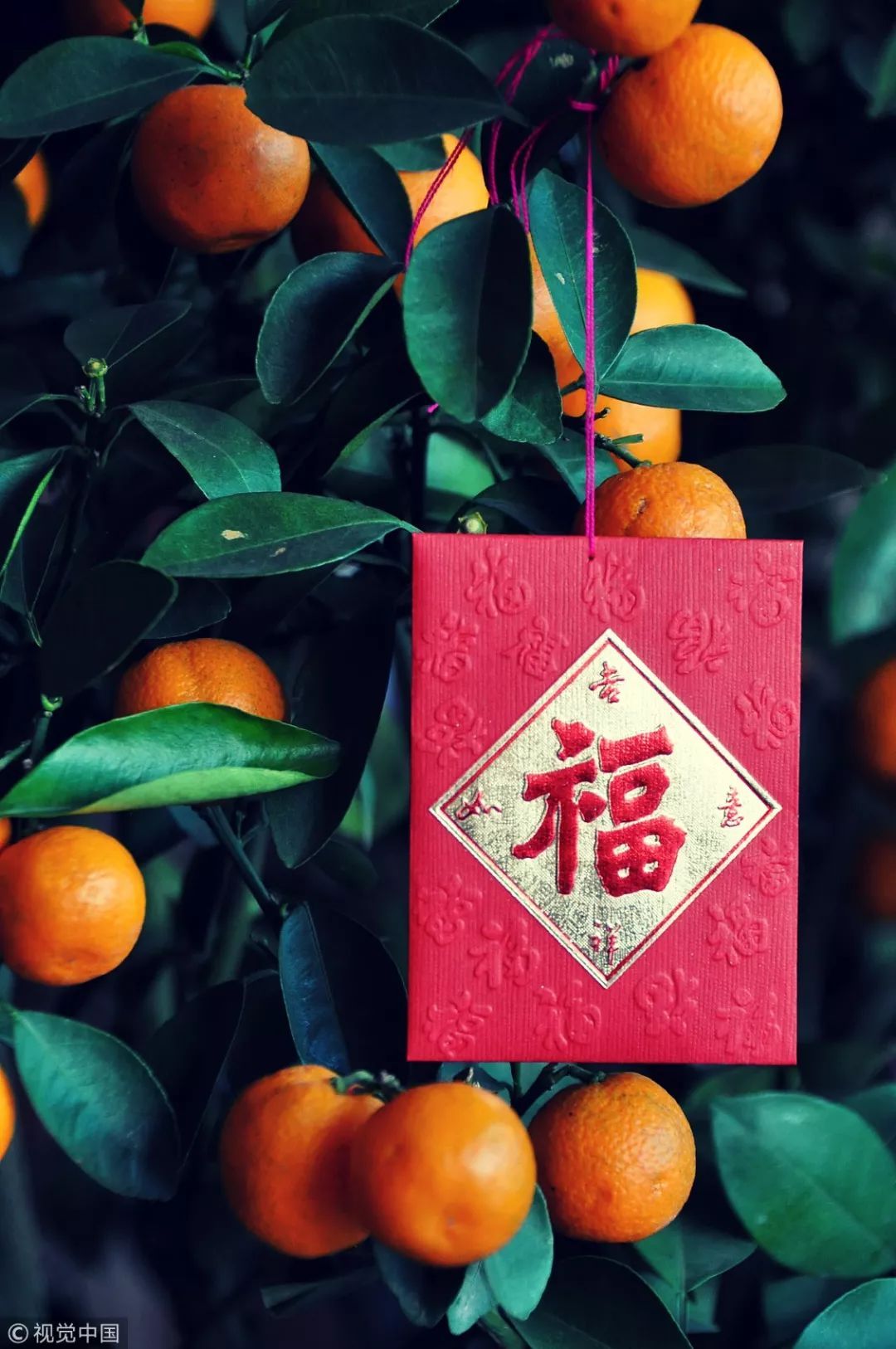 阖家幸福是什么意思(阖家幸福是什么意思的视频) -情感知识库-动动脑